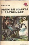 Drum de soarta si razbunare - Remus Luca