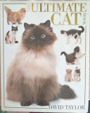 THE ULTIMATE CAT BOOK-DAVID TAYLOR