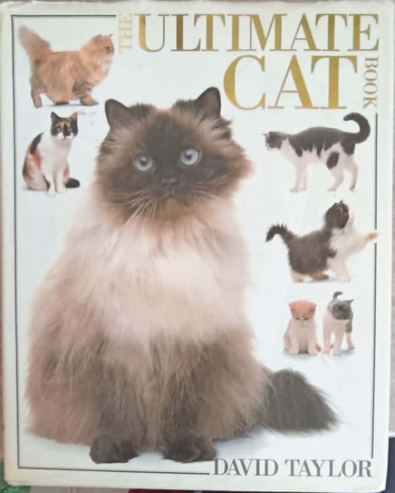 THE ULTIMATE CAT BOOK-DAVID TAYLOR-319076