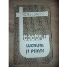 Lucruri si fiinte- Viorel Savin