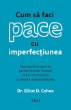 Cum sa faci pace cu imperfectiunea - Elliot D. Cohen - Editura Trei