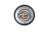 NRF 725205 EASY FIT termostat,lichid racire