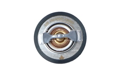 NRF 725205 EASY FIT termostat,lichid racire foto