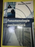 Gheorghe Florian-Fenomenologie penitenciara