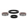 Kit Rulmenti roata fata Suzuki DR350 DR650 DRZ250 RMX250 XF650 1990-2007 All Balls 25-1051
