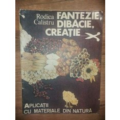 Fantezi,.dibacie,creatie Aplicatii cu materiale din natura Rodica Calistru