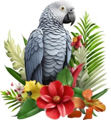 Sticker decorativ Papagal, Gri, 64 cm, 8028ST-2 foto