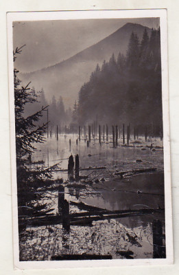 bnk cp Lacul Rosu - Vedere - circulata 1950 foto