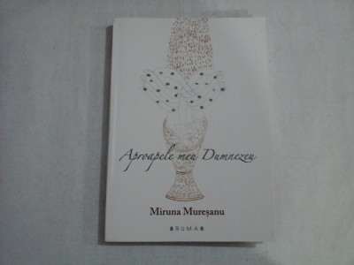 APROAPELE MEU DUMNEZEU - MIRUNA MURESANU foto