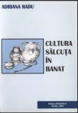 Cultura Salcuta in Banat/ Adriana Radu