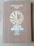 Constantin Prut - Calea rătăcită. O privire asupra artei populare rom&acirc;nești