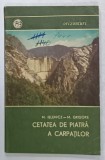 CETATEA DE PIATRA A CARPATILOR de M. IELENICZ si M. GRIGORE , 1970