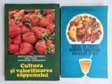 CULTURA SI VALORIFICAREA CAPSUNULUI+ SUCURI DE FRUCTE SI BAUTURI RACORITOARE ...