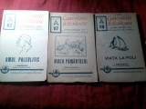 3. 3 Numere Cunostinte Folositoare Seria A- 1940 ,1941 si 1942 - I.Simionescu : nr.82 Omul Paleolitic , nr.87. Viata Pamantului si 88.Viata la Poli