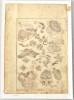 Katsushika Hokusai &quot;Hokusai Manga&quot; xilogravura sec 19, Natura, Cerneala, Altul