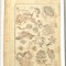 Katsushika Hokusai &quot;Hokusai Manga&quot; xilogravura sec 19