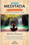 Meditatia pe intelesul tuturor - Matteo Pistono