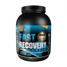 Gold Nutrition Fast Recovery, 1 kg foto