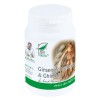 Ginseng Corean cu Ghimbir 60 capsule Medica, Medica Farmimpex
