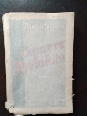Damian Stanoiu - Camere Mobilate foto