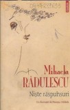 Niste raspunsuri de Mihaela Radulescu, Editura Polirom, 2009