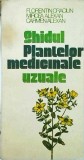 Florentin Craciun - Ghidul plantelor medicinale uzuale