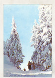 Bnk cp Iarna pe masivul Postavarul - Vedere - uzata, Necirculata, Printata, Brasov