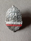 NI118 Insignă veteran de război al celui de-al Doilea Război Mondial, Polonia