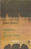 Cumpara ieftin Tineretea lui Bogdan Irava - Stefan Dimitriu