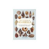 The Wonder of Seashells: Discover the Meaning and Magic of the Ocean's Treasures