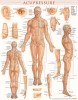 Acupressure-Laminated