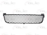 Grila ventilatie, bara protectie SUZUKI GRAND VITARA II (JT) (2005 - 2016) BLIC 6502-07-6825996P