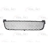 Grila ventilatie, bara protectie SUZUKI GRAND VITARA II (JT) (2005 - 2016) BLIC 6502-07-6825996P
