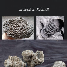 Beginners Guide to Michigan Fossils and Fossil Hunting