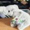 Jucarie Plus Elefant