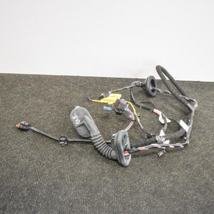 Cablaj ușă st&acirc;nga spate TESLA MODEL 3 2018 OEM: 1067965-90-D 10829660