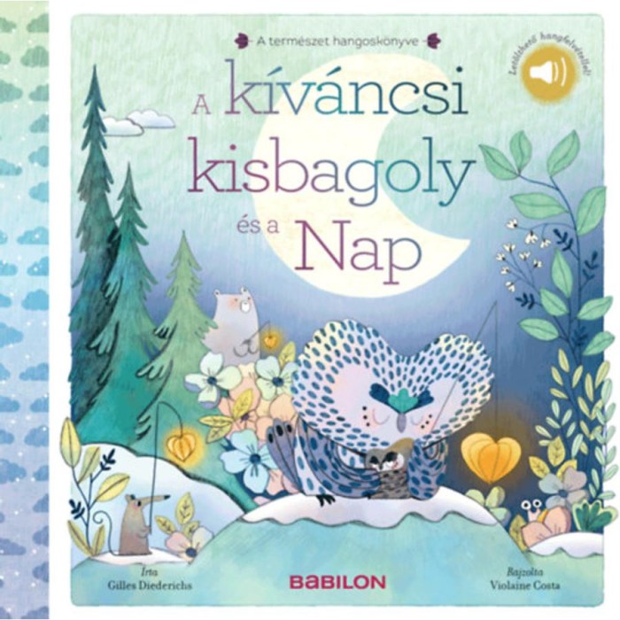 A k&iacute;v&aacute;ncsi kisbagoly &eacute;s a Nap - Let&ouml;lthető hangfelv&eacute;tellel! - Gilles Diederichs
