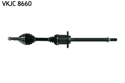 SKF VKJC 8660 Planetara foto