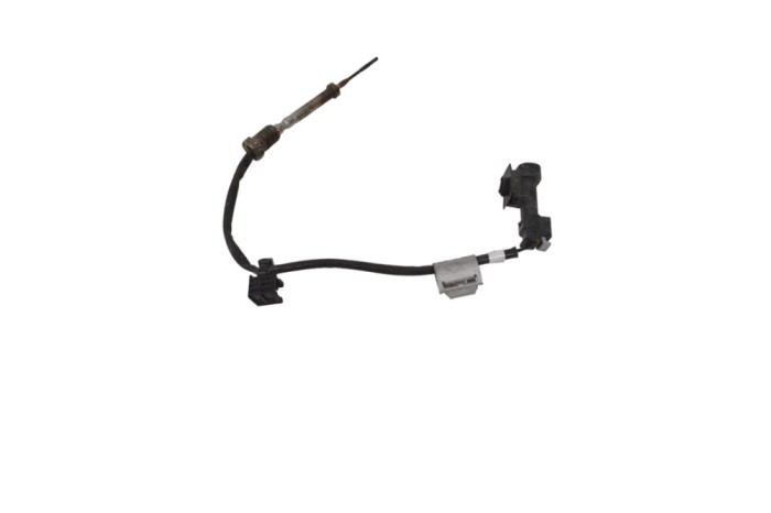 Senzor de temperatură BMW 3 F30, F80 2016 OEM: 8589818 17496027