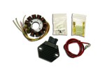 Stator cu regulator de tensiune KTM EXC 2T 250 08- 17 EXC 300 08- 15, Freeride 250 14, EXC 200 13 - 15, SX 144 08, HUSABERG 250 300 11- 17 Husqvarna T