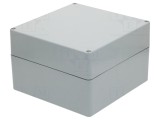 Carcasă universală RAYCHEM RPG 250mm x 255mm x 160mm poliester gri