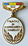 INSIGNA FRUNTAS IN GOSPODARIREA ORASULUI 1968