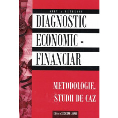 Diagnostic Economic-Financiar - Silvia Petrescu