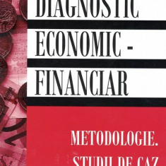 Diagnostic Economic-Financiar - Silvia Petrescu