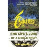 Olives - The life &amp; lore of a noble fruit