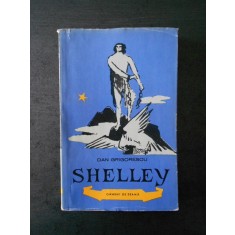 DAN GRIGORESCU - SHELLEY