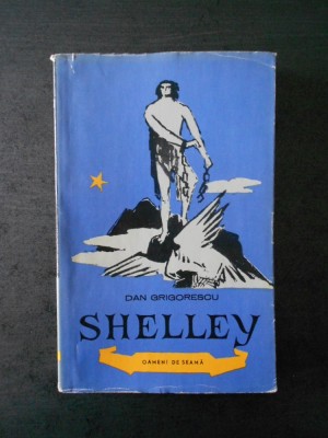 DAN GRIGORESCU - SHELLEY foto