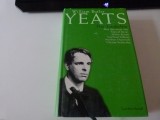 Die Gedichte - Yeats