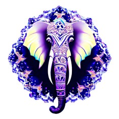 Sticker decorativ, Elefant, Albastru, 60 cm, 10198ST foto