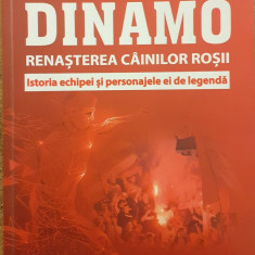 Dinamo renasterea cainilor rosii